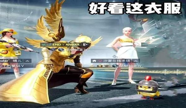 和平精英简易版炽羽金尊（关于和平精英简易版炽羽金尊的文章）